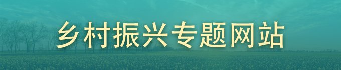 职能部门